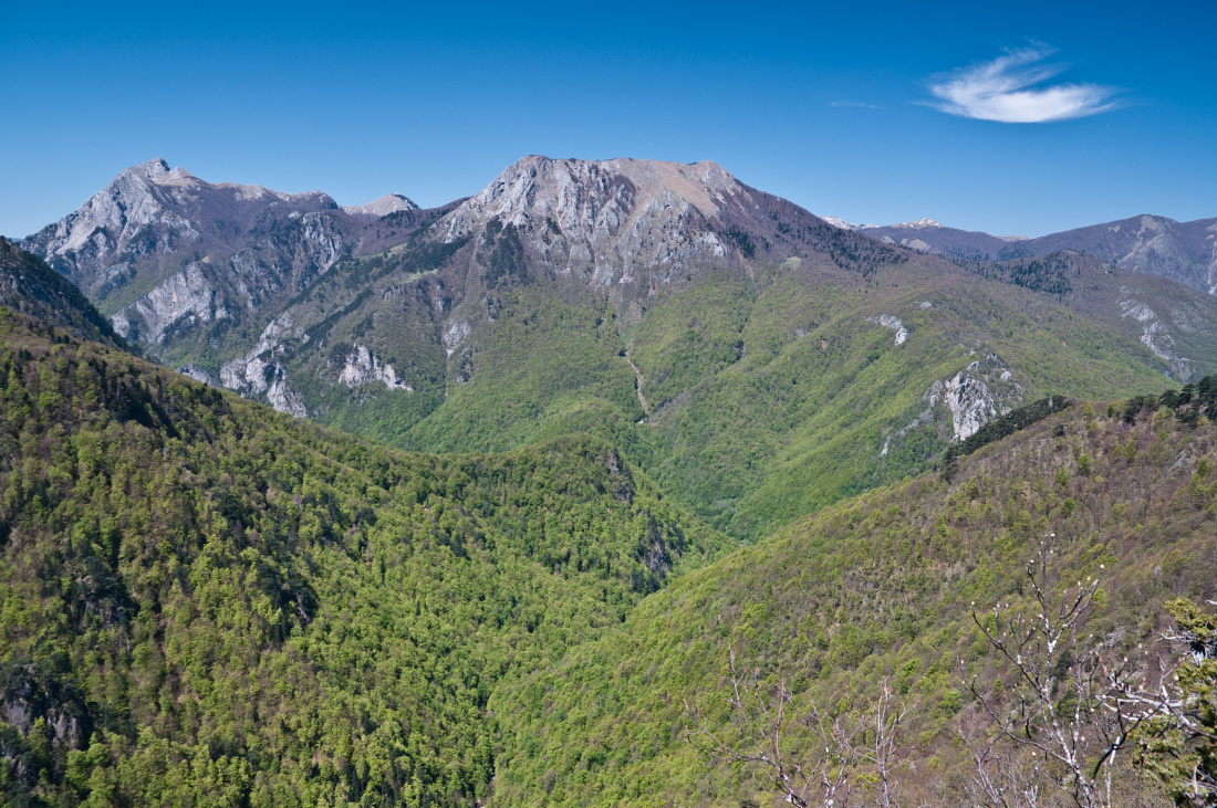 Bosenský národní park Sutjeska zahrnuje nevyšší horu země Maglič (2 386 m n. m.), staré pralesy i hluboké kaňony.