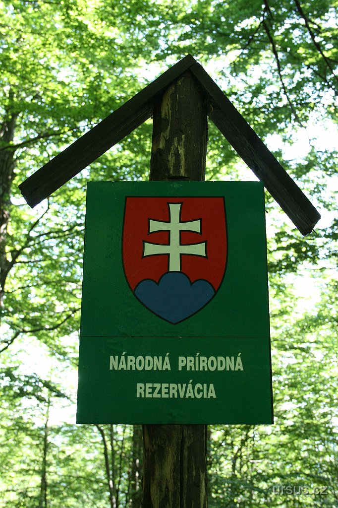 21.jpg - Den druhý. Je krátce po deváté hodině a my vyrážíme tentokrát bez lana a karabin na pěší výlet, který vede přes nejvyšší vrchol celých Strážovských vrchů - Strážov (1213 m). Vrchol a jeho okolí je součástí zdejší největší národní přírodní rezervace.